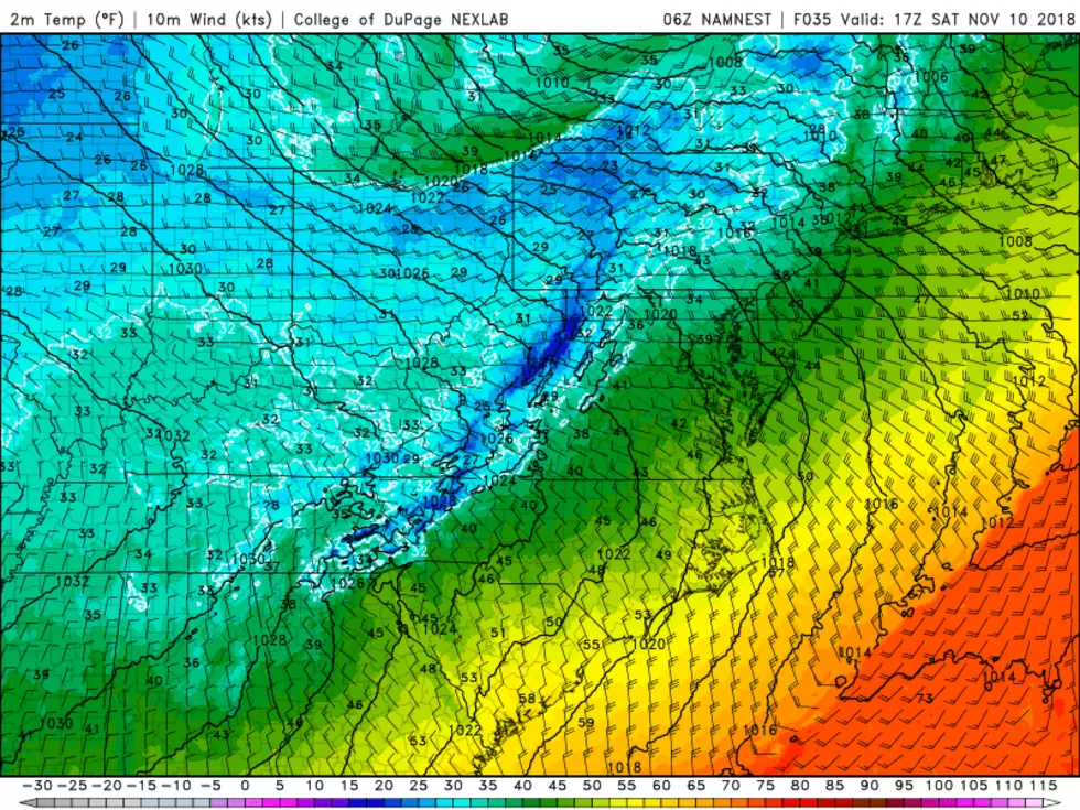NAM4K model temperature forecast as of Noon Saturday. It's going to get cold. (College of DuPage Meteorology)