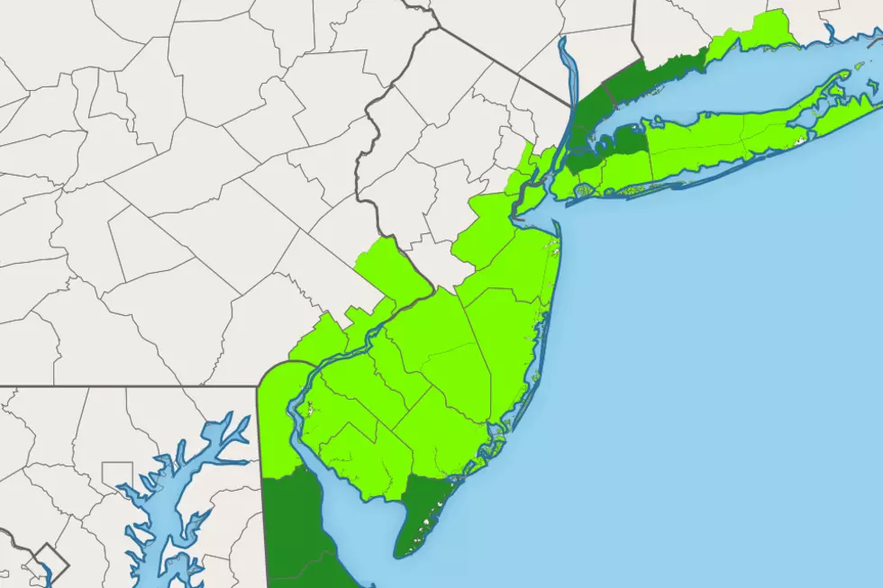 Coastal flood warnings (dark green) and advisories (light green) are posted up and down NJ's coast Monday night. (Townsquare Media / AerisWeather)