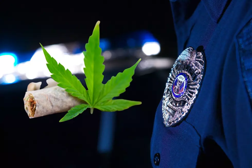 Cops can use weed, NJ commission rules