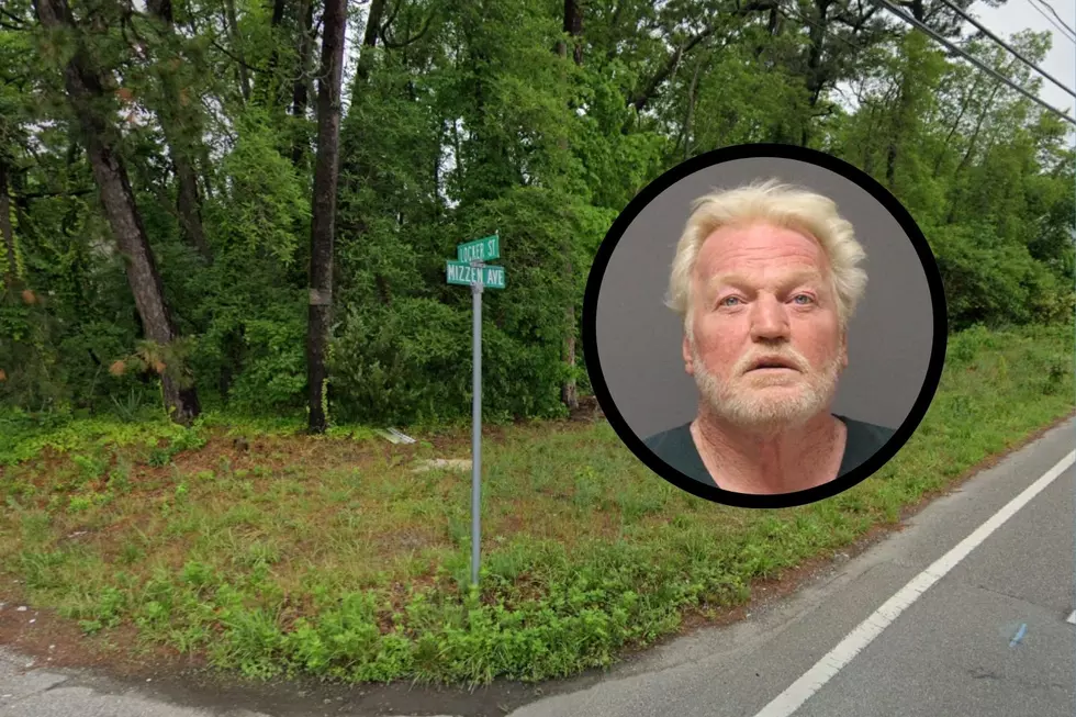 Unlicensed Ocean County driver pleads guilty to teen hit-and-run