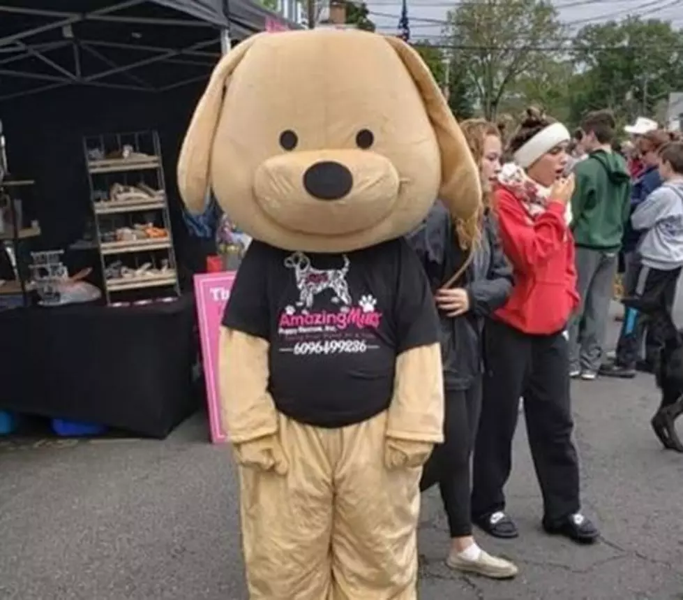 Local Animal Rescue Looking For Fun Person To Be A Mascot