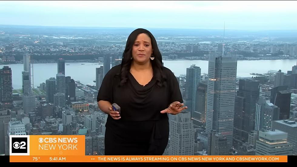 Beloved NYC TV Meteorologist, Elise Finch, Dies Suddenly at 51